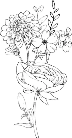 花卉填色图  - 源文件下载【酷图网】花轮廓,简笔画,手绘画,插图,儿童绘本,黑白图片,勾线图,植物,花朵,鲜花