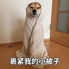 裹紧我的小被子doge梗图片 : 裹紧我的小被子表情包是一款关于柴犬doge的表情包。自从日本的大表哥带着他的柴犬火了以后，柴犬就以小短腿和萌萌的表情，笨笨的动作各种搞怪的样子火了起来，受到国内各种爱狗人士的喜欢，还有狠多的P图高手把它做成表情包使用，非常的有趣，现在小编为大家带来柴