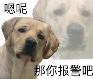 不行了图一这只猫咪也... - @宝榛的...