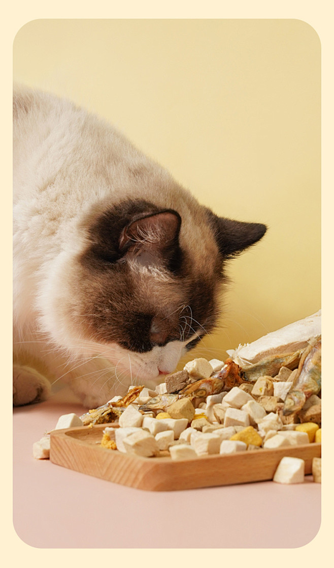 冻干猫零食混合全家桶宠物狗狗猫咪鹌鹑鸡胸...