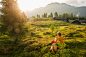 人,建筑结构,休闲装,农业,自然_149690610_Austria, Salzburg County, Young woman sitting in alpine meadow and watching landscape_创意图片_Getty Images China