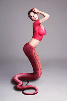美女蛇美人鱼