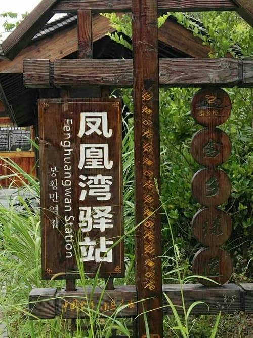 百度识图搜索结果