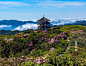 图说金佛山，关于金佛山游览路线图的介绍（图21）
