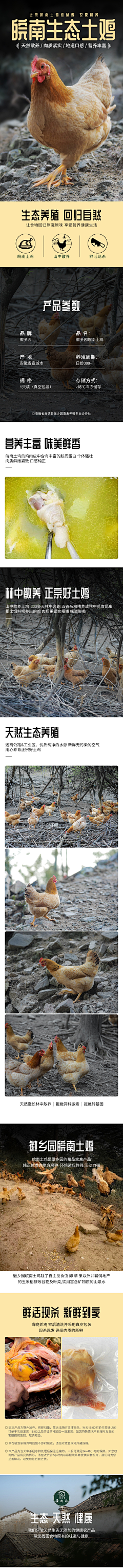 波波(●´З｀●)采集到详情食品类
