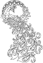 Paisley Peacock Coloring Pages for Adults Printable