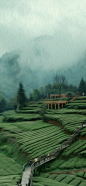 梯田油画风景壁纸