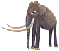 The ASIAN ELEPHANT • Brendan Wenzel
The endangered Asian Elephant is found from India to Borneo. Although smaller than their African cousins, they are still the largest land animals in Asia.