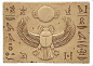 埃及圣甲虫的搜索结果_百度图片搜索