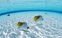 湛蓝天空与海水桌面壁纸桌面壁纸2