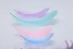 羽毛图片，羽毛素材，羽毛背景，羽毛壁纸下载鸿毛818A0468 – 饿狐背景网站-微距高清设计素材免费图片下载海报壁纸摄影背景素材，背景图，背景墙，背景板，背景图片，背景纹理，背景板设计，背景材质，背景大图