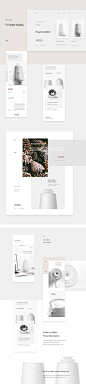 Pineal Website_刘宗伟_【68Design】