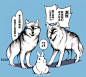 采