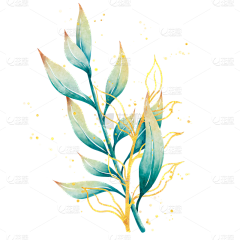 用户CynAUWuH采集到花束