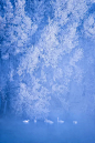 雪创意图片图片素材_ID:VCG211100030924