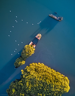 破茧·鱼采集到海景图片