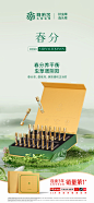 阿依舍品牌/冬虫夏草/节气海报/品宣海报/开机屏/春分
