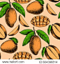 Vector mango  hand drawn sketch.  Vector seamless pattern.  Vintage style