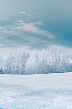 亚力山大芙采集到雪景