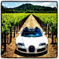 Bugatti Veyron in a beautiful vineyard #豪车#