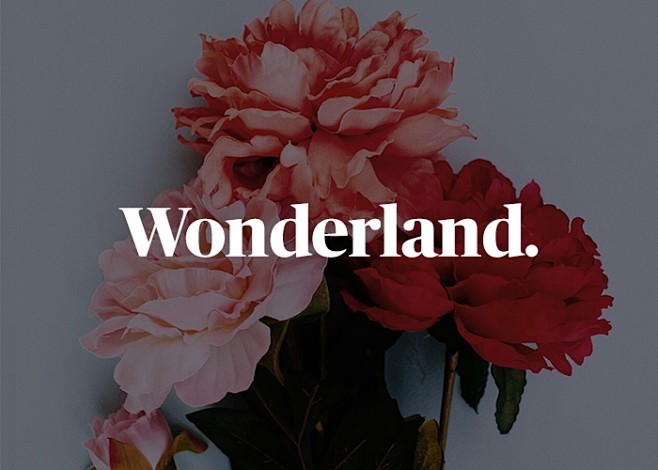 Wonderland | CSS Web...