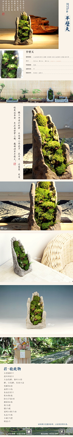 雾送采集到植物