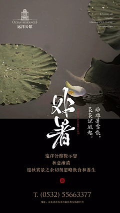 华子集采集到a禅意详情