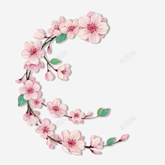 冯朵采集到送花素材