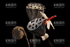 手绘荷花   - 源文件下载【酷图网】手绘荷花,水墨荷花,夏日荷花,湖水,荷花,莲花,荷叶,莲蓬,夏季广告,夏日海滩,冰爽盛夏,清凉一夏海报,清爽一夏,激情盛夏,夏季海报,冰凉夏日,夏季促销,夏天促销,激爽夏日,夏天素材,夏季素材,荷花背景,水墨背景,水墨荷花背景,夏天背景素材,夏季促销钜惠,夏季背景素材,