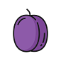 梅，全浆果，紫百香果图片下载