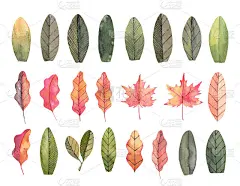 手绘水彩插图。秋天植物剪纸艺术。一套秋叶。花的设计元素。完美的邀请，贺卡，博客，海报，印刷品