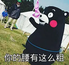 拥有一大波熊本熊表情包是一种什么样的体验？ - 搞笑 - 知乎