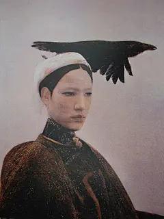 何多苓 《乌鸦是美丽的》