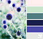 Design Seeds : Your daily dose of inspiration ... for all who love color.