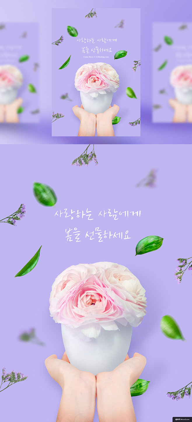背景 主题 海报 紫色 鲜花 感恩节 模...