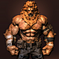 lion