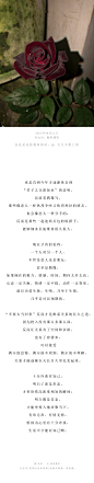 ❤关注公众号：星期五治愈星球，精美插画天天更新❤