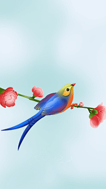 惊蛰节气祝福问候清新插画手机视频