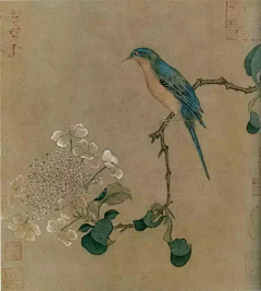 常德不离采集到花卉