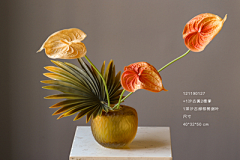 不想懂得~~~采集到Floriculture-花艺