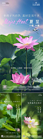 夏至节气系列海报-源文件