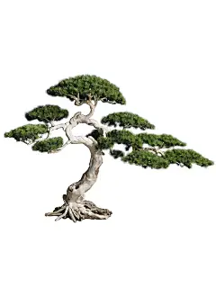 大型仿真松树迎客松美人松装饰景观树绿植造景假松树室内盆景摆件-淘宝网