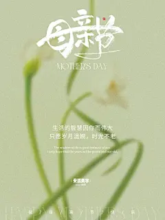 母亲节海报｜极简ins风海报设计