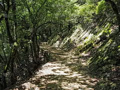 金卡山的景色