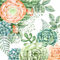 国外手绘水彩多肉植物叶子清新花朵等png格式设计素材-淘宝网