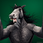 Social animals on Behance
