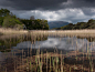 September 30，2012

拍摄于Muckross湖。Kerry郡Killarney典型气候的一天。

摄影：Anthony Byrne