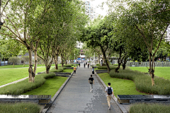 清晨去散步采集到景观