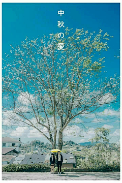 Shay鱼姐采集到摄影