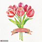 郁金香花淡彩手绘写实鲜花水彩花卉插画 植物花卉 水彩植物
